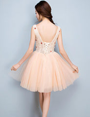 Lovely Tulle V-neckline Tulle Homecoming Dresses, Tulle Pink Cute Party Dress